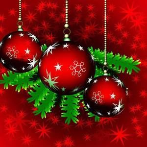 Meet your Posher, Tracey